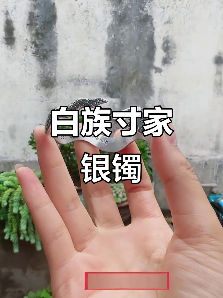 云南白族寸家银饰:手工足银999蛇形手镯,独特魅力尽显