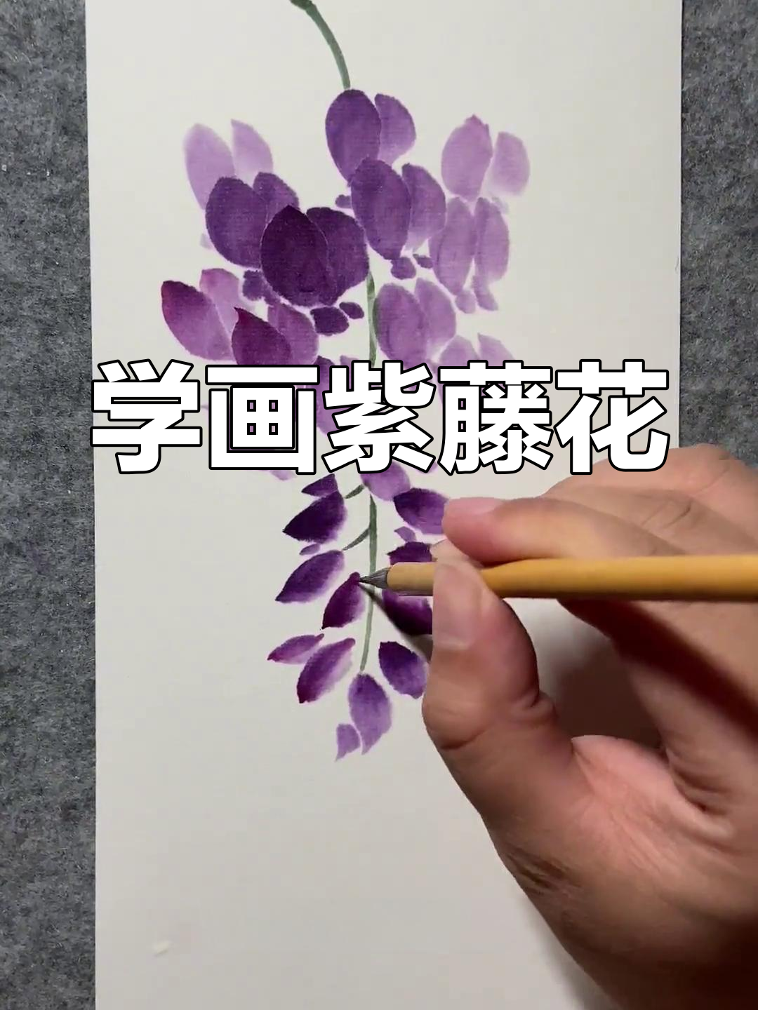 紫藤萝花怎么画?简单图片