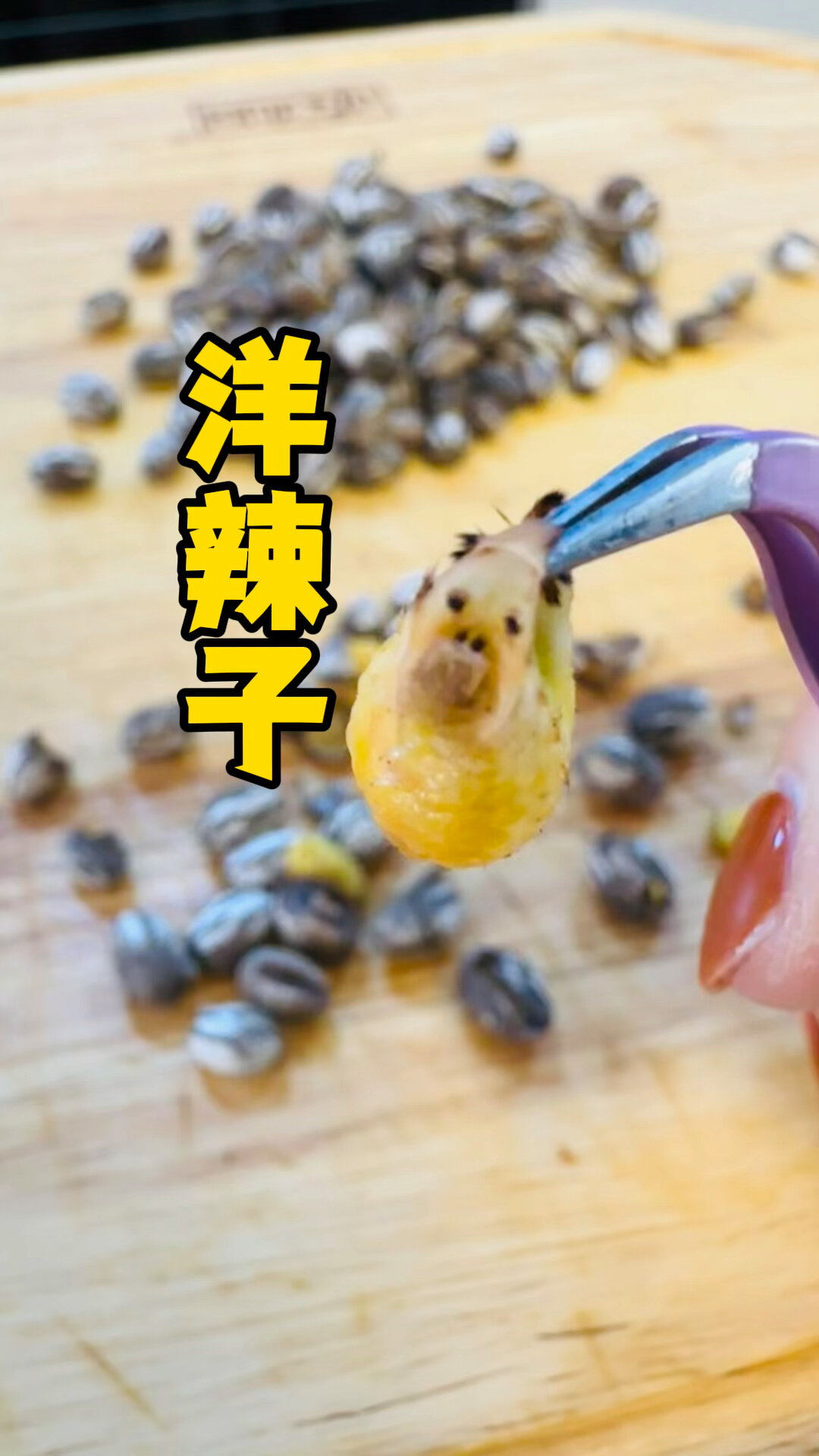 东北特产羊辣罐坦克虫小时候的味道