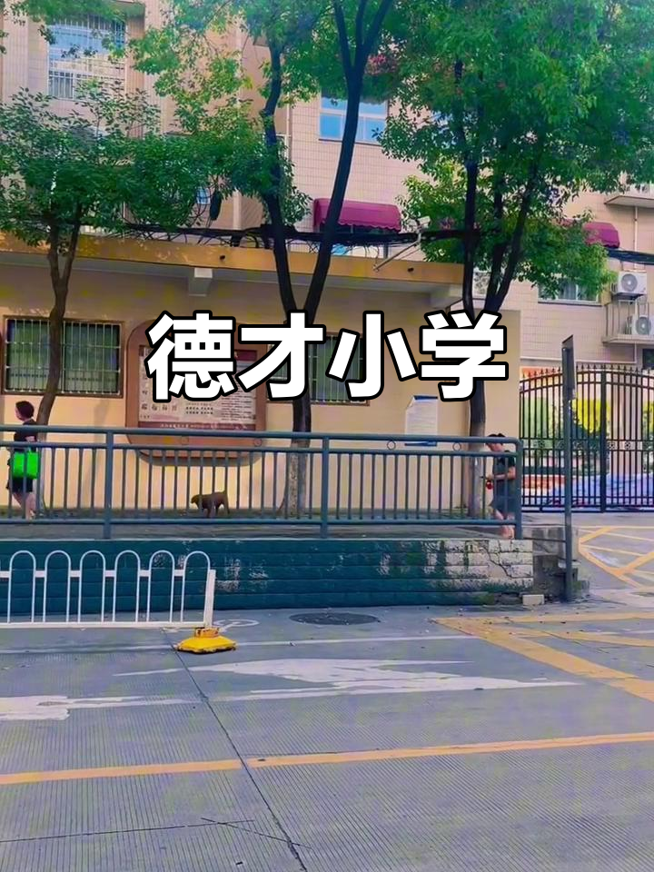 1995年德才小学,汉阳区优质公立教育