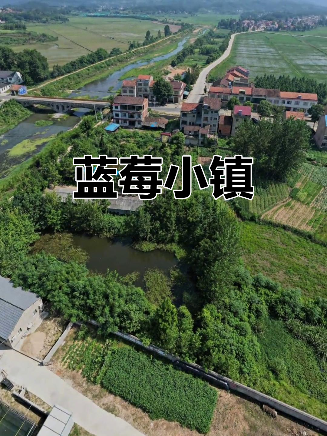 停前镇,蓝莓之乡,历史悠久,交通便捷