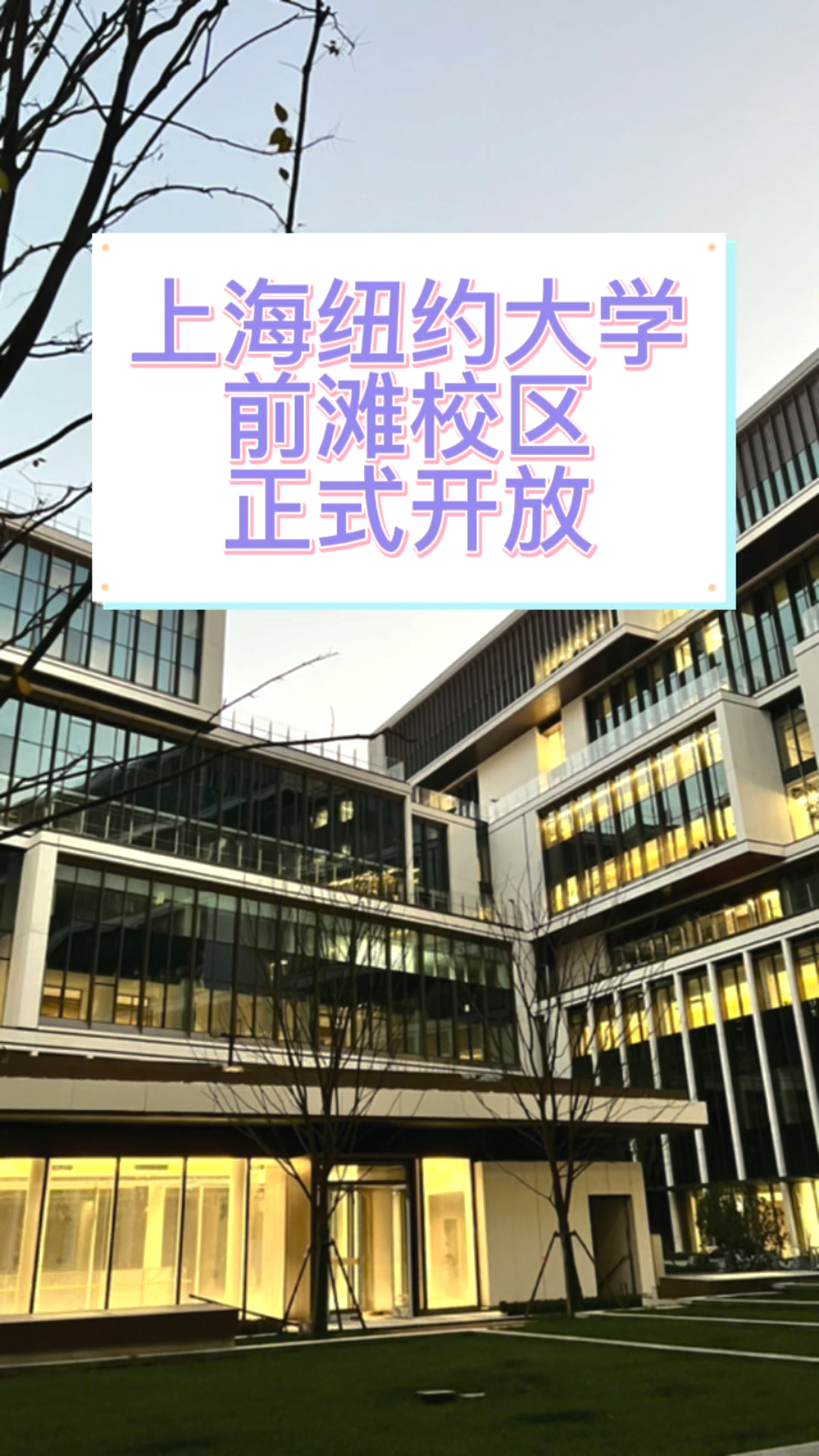 前滩纽约大学规划图图片