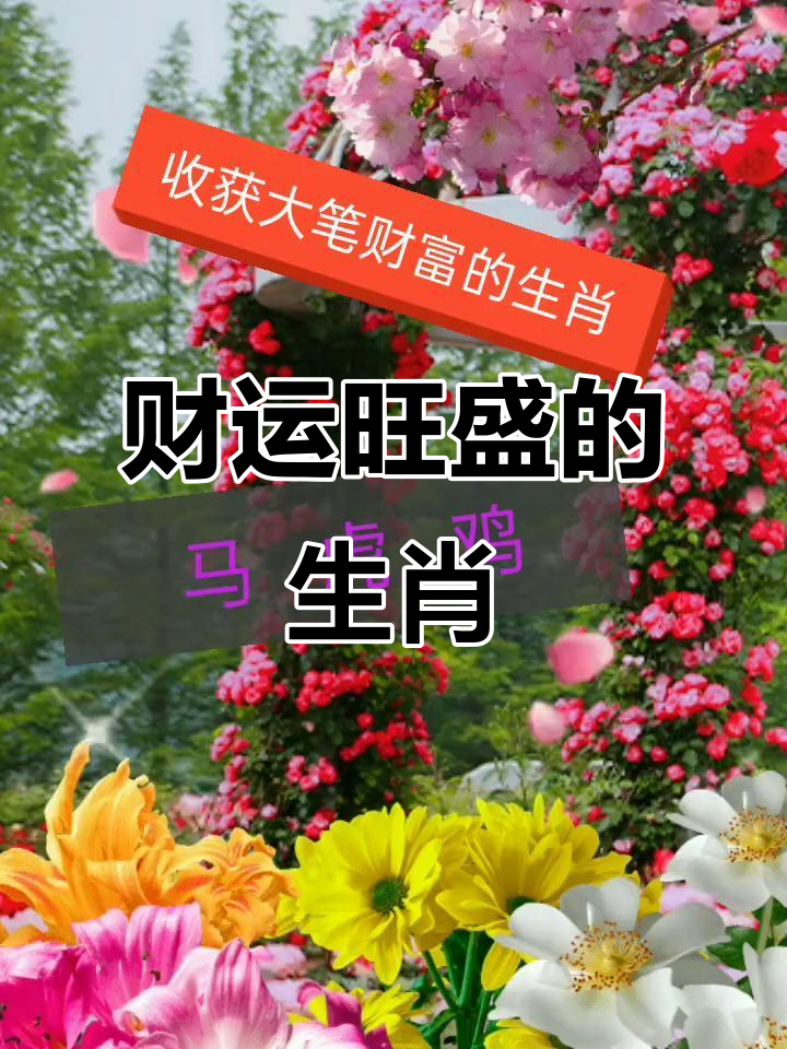 生肖马鸡今年运势(属马鸡2021年运势及运程详解)