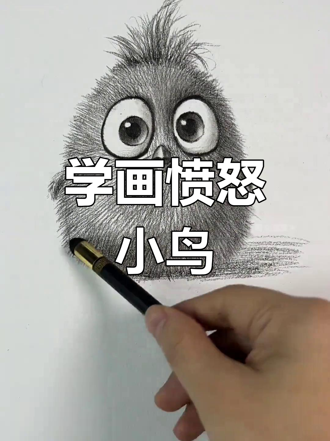 轻松学会画愤怒的小鸟,素描技巧全解析