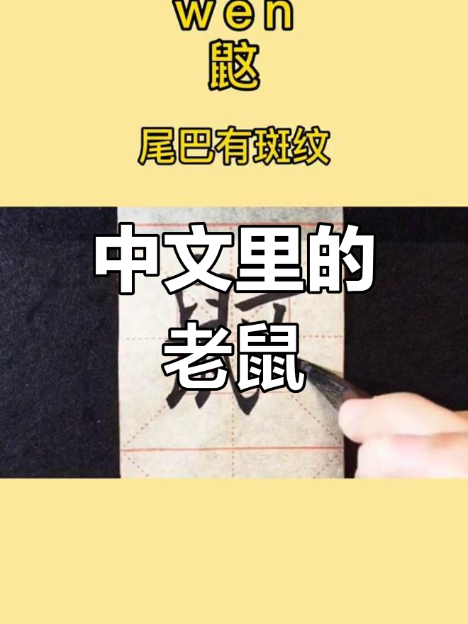 鼠字的演变过程图图片