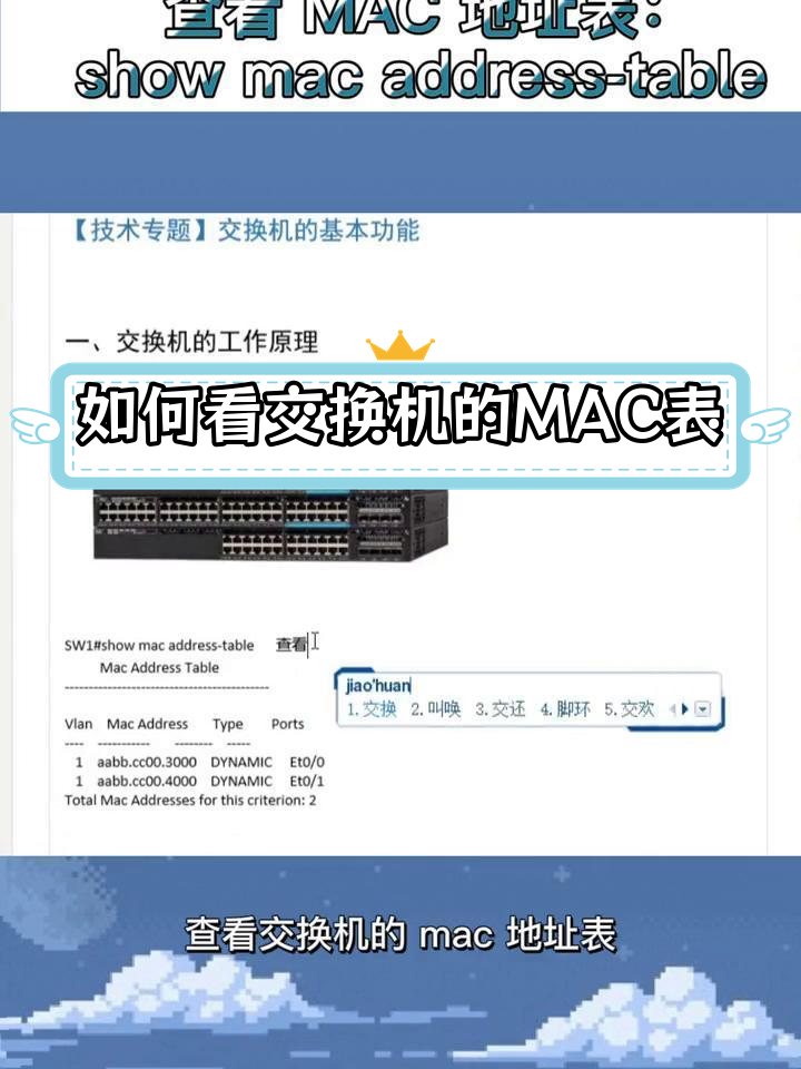美国电话接码用什么软件好用