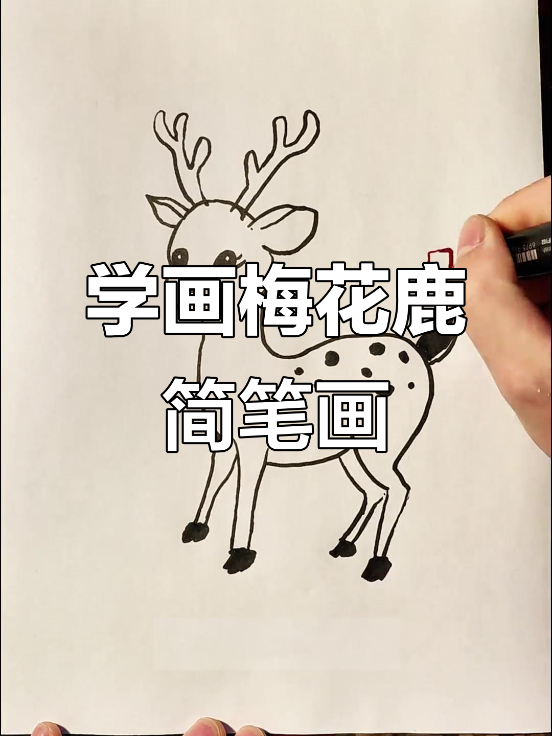轻松学画梅花鹿,简单步骤教你画出可爱小动物
