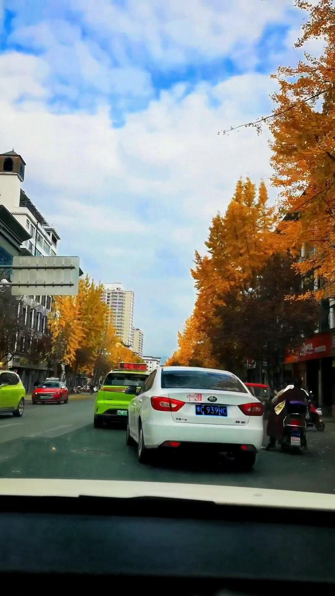 栾川县城,越看越美!