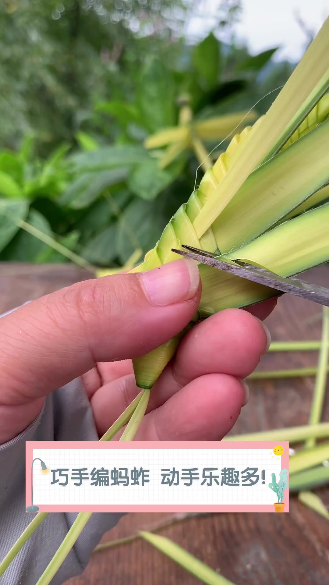 巧手编蚂蚱,动手乐趣多!