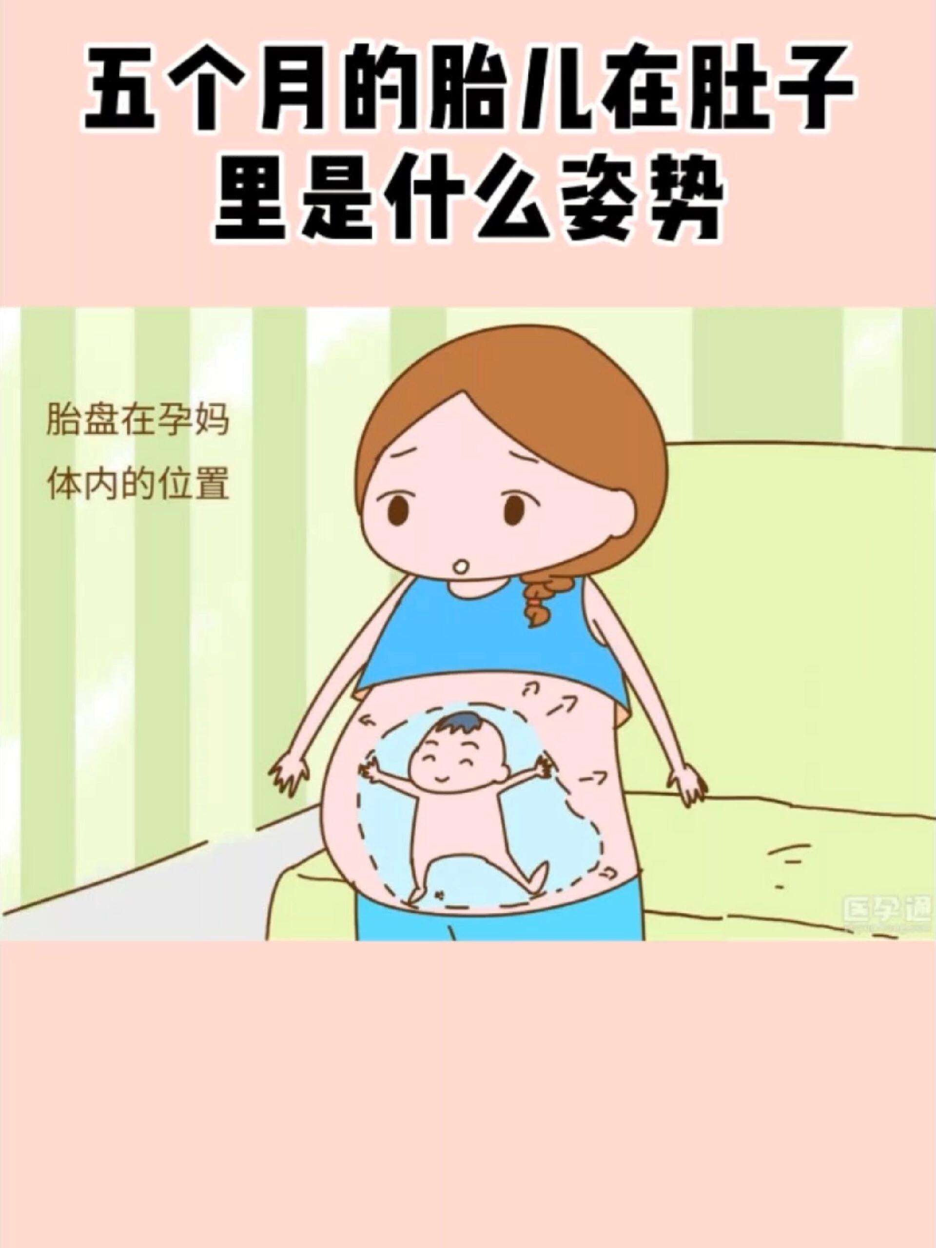 胎儿在肚子里趴着图片图片