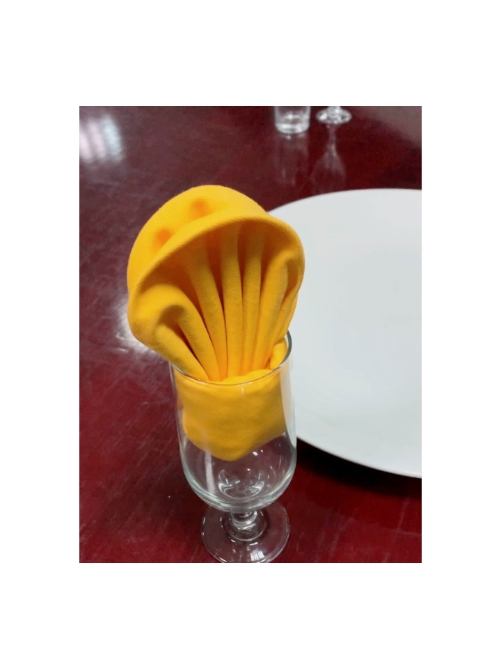 餐巾折花—(杯花)两片仙人掌