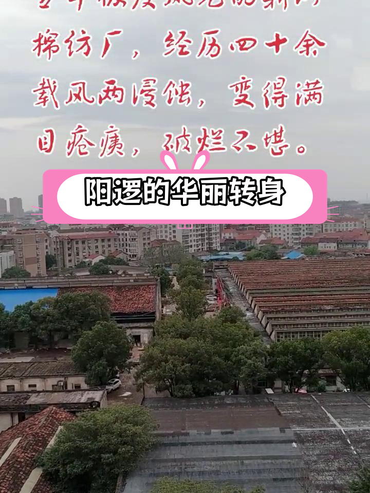 阳逻老城区图片