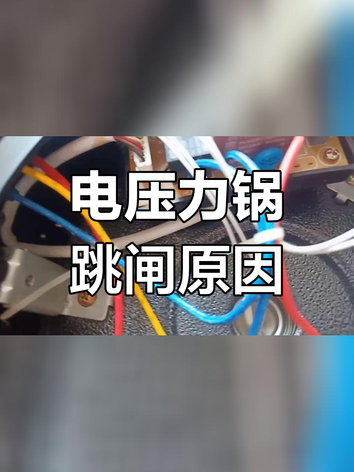 奔腾电压力锅e4故障图片