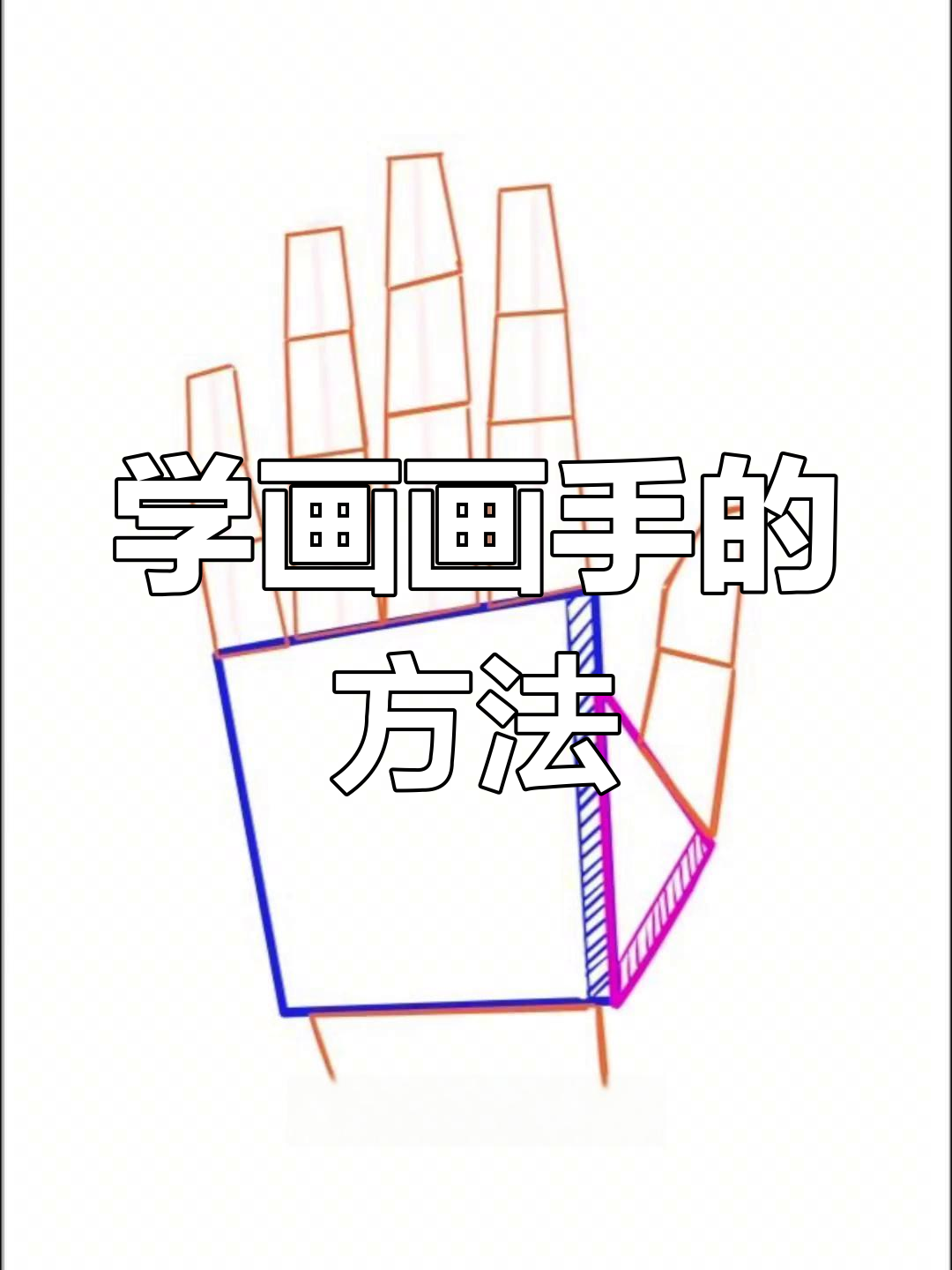 画手的技巧与步骤解析