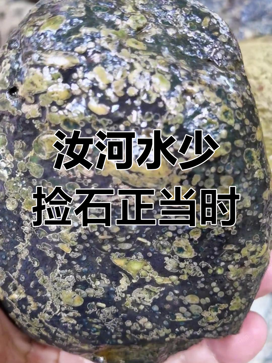 汝河水位下降,捡石头的好时机来临!快来碰运气吧