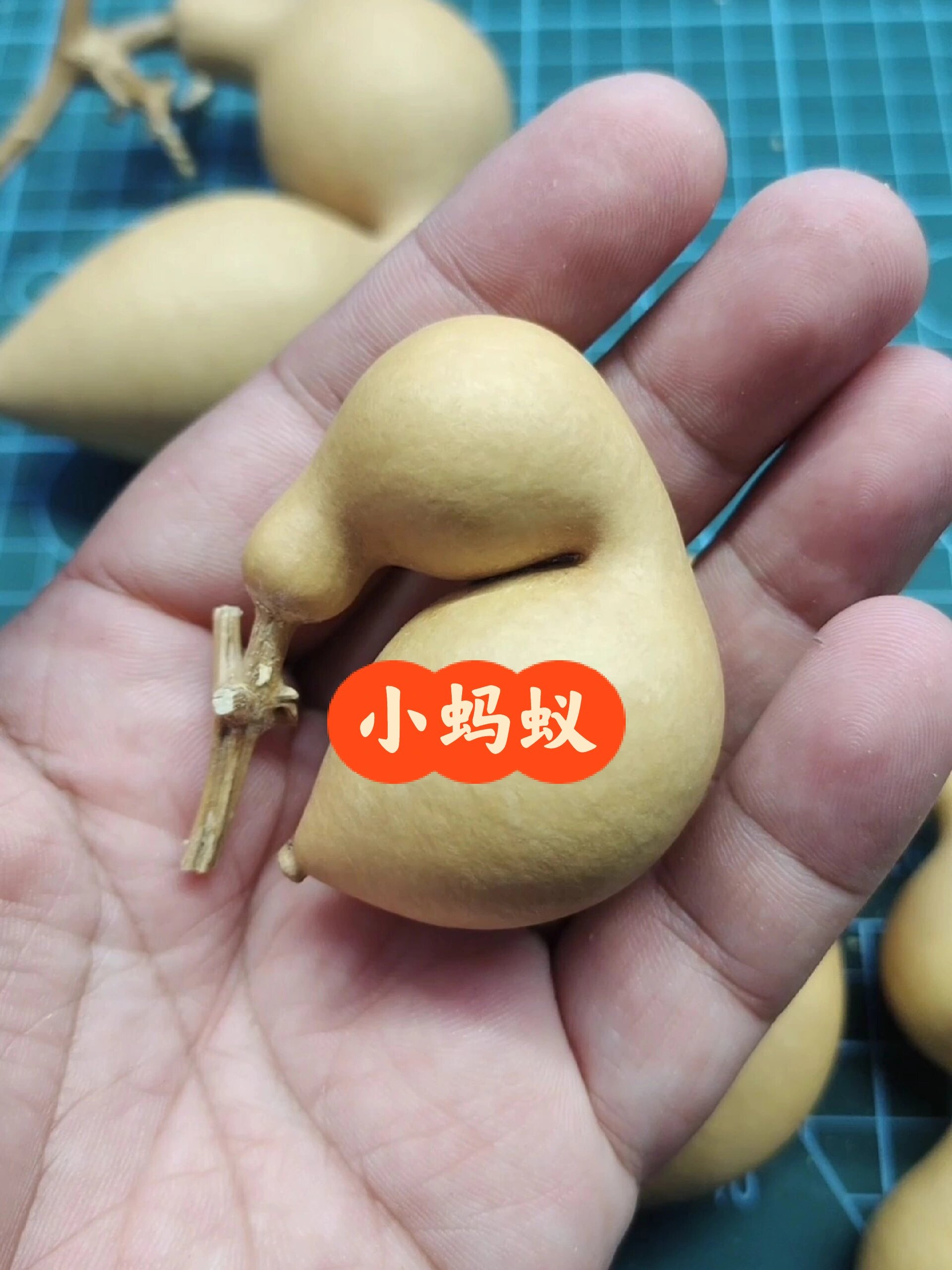 曾经很贵现在很便宜的蚂蚁葫芦