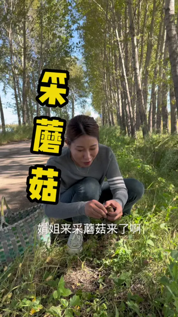 采蘑菇,带大家了解东北日常生活