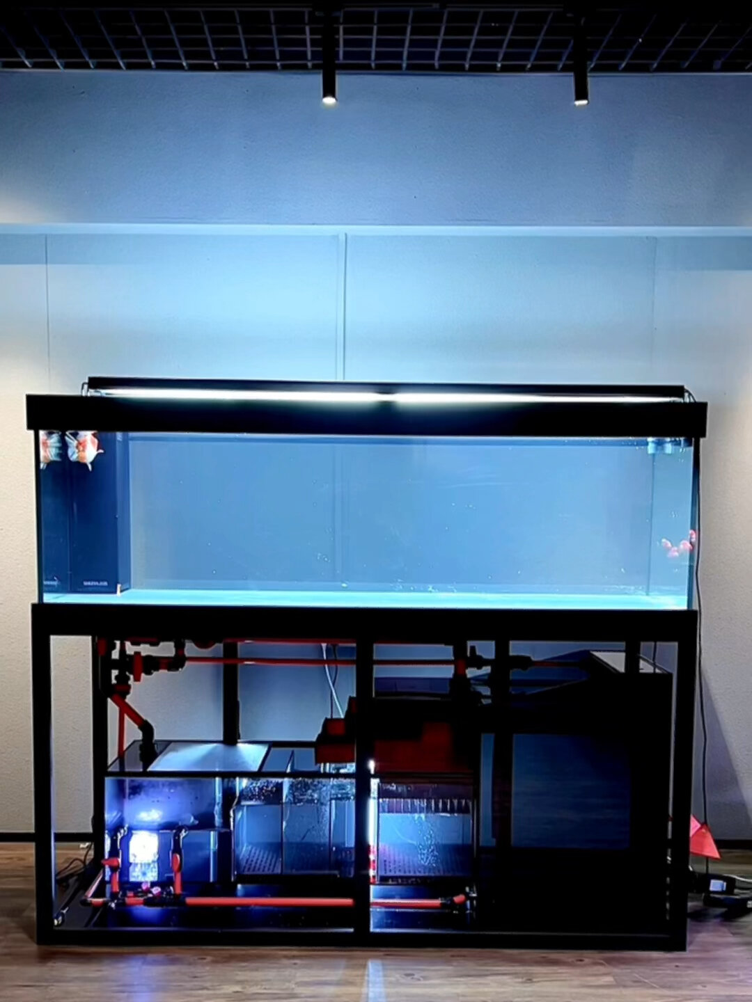 被种草的2023款水鸦鱼缸