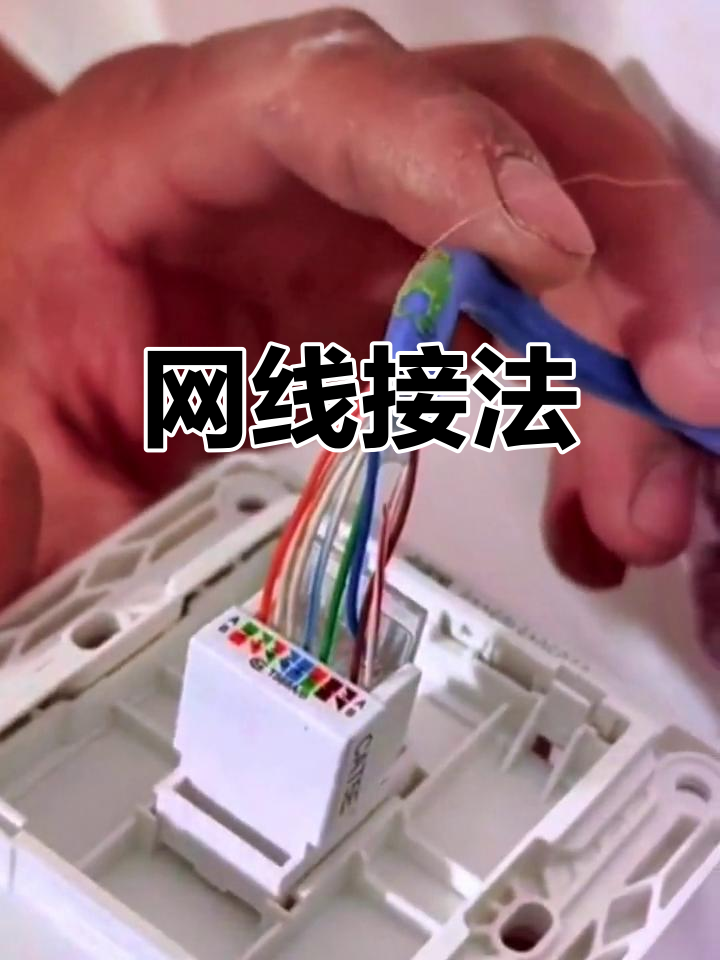 网线插座接线教程
