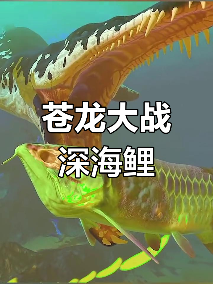 苍龙王与深海大鲤鱼拼死搏斗,结果竟是同归于尽!