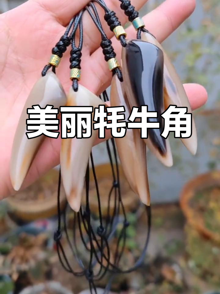 牦牛角的独特魅力