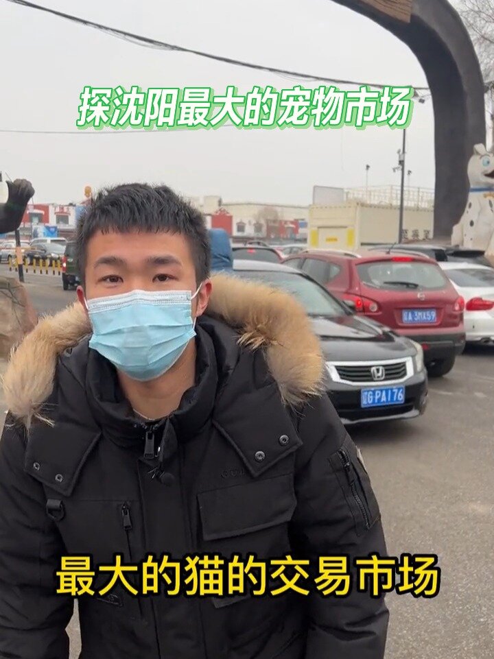 探沈阳最大的宠物市场