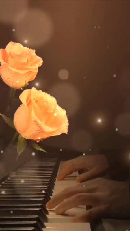 钢琴与玫瑰视频素材星辰似你唯美意境爱音乐爱生活满眼星辰皆是你钢琴