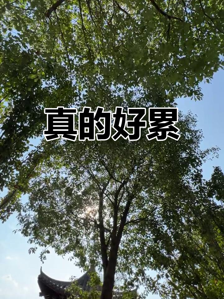 生活好累,困倦不堪,疲惫到极点