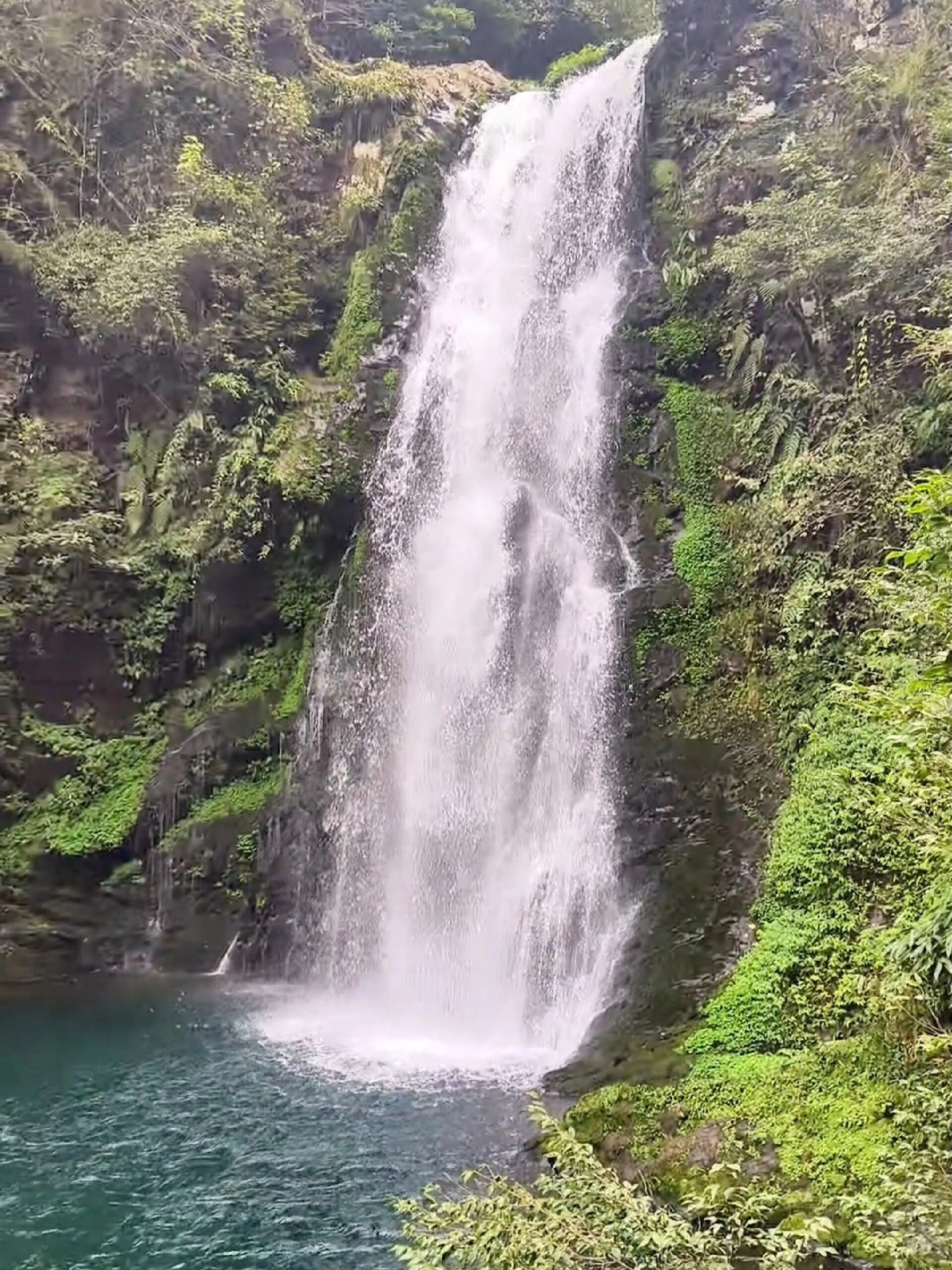 井冈山龙潭景区图片