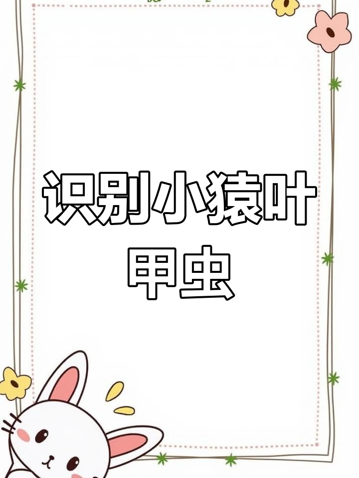 小猿叶甲虫识别与防治技巧,蔬菜种植必看