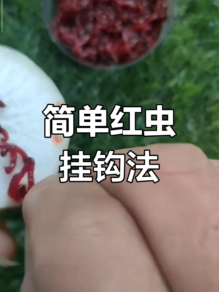 红虫挂钩技巧图片