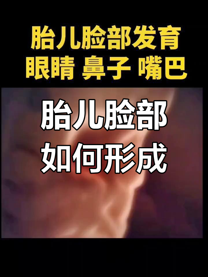 胎儿面部发育揭秘:眼睛,鼻子和嘴巴的形成过程