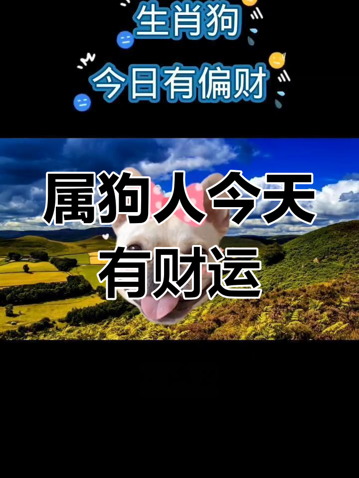 今日生肖狗财运运势查询(今日生肖狗运气如何)