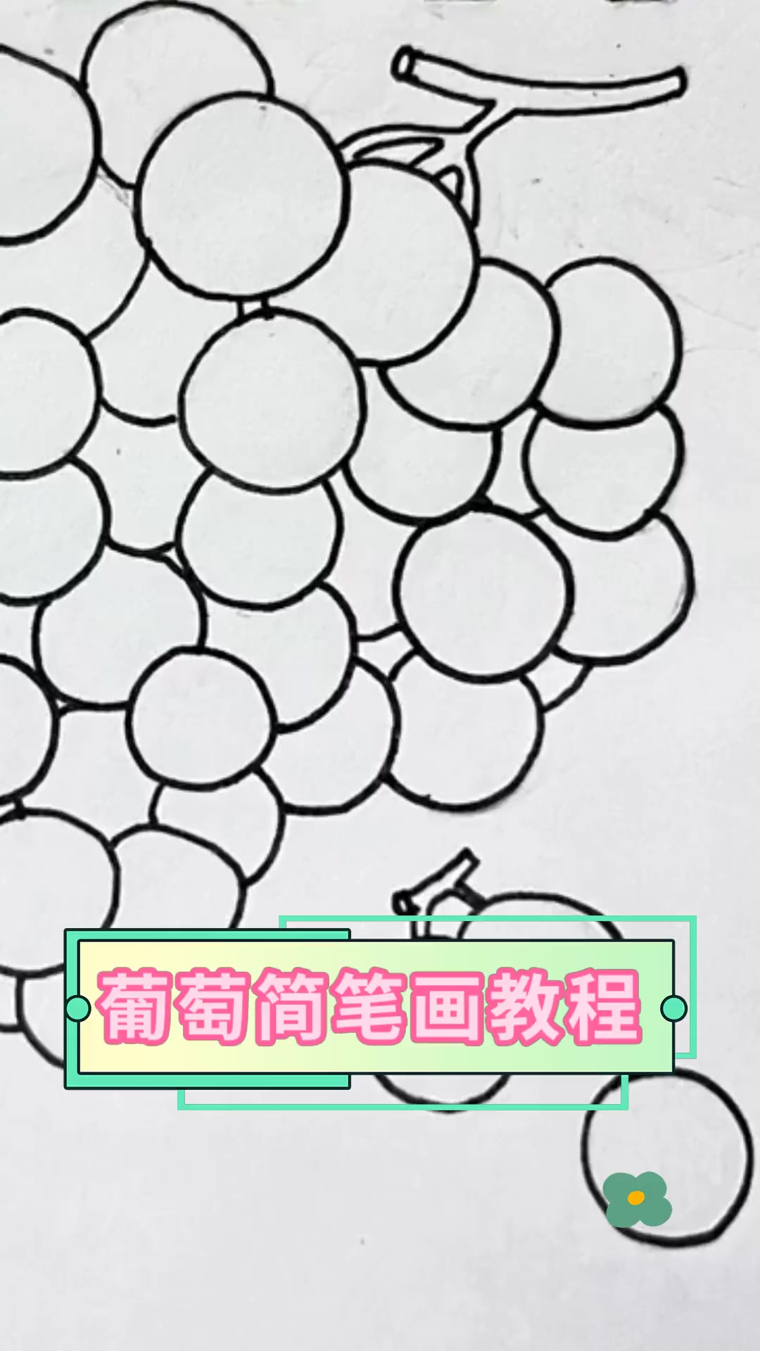 葡萄简笔画教程