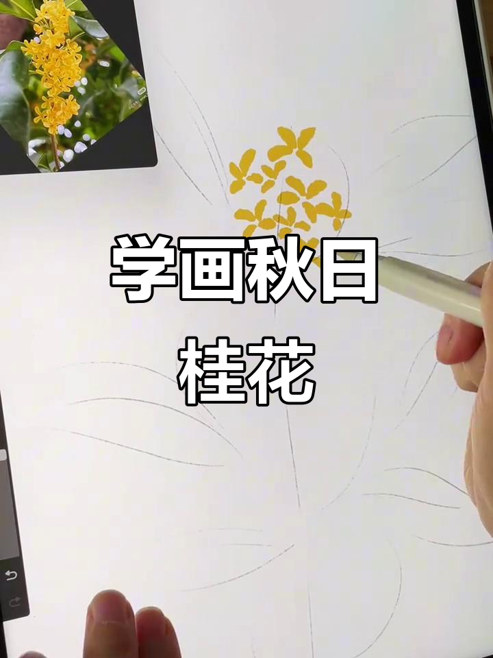 秋天桂花香,2分钟学会画可爱小桂树