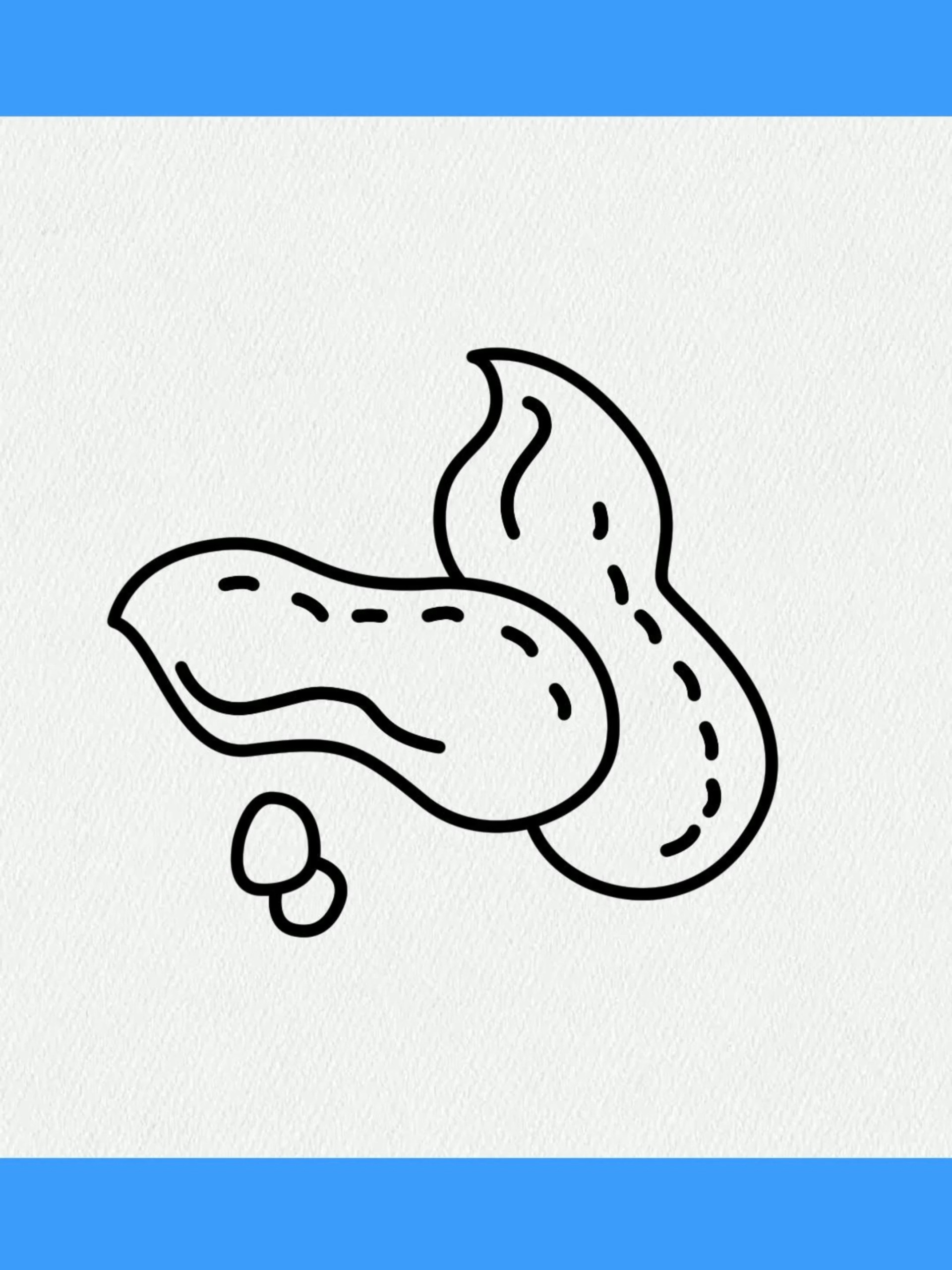 花生的简单画法