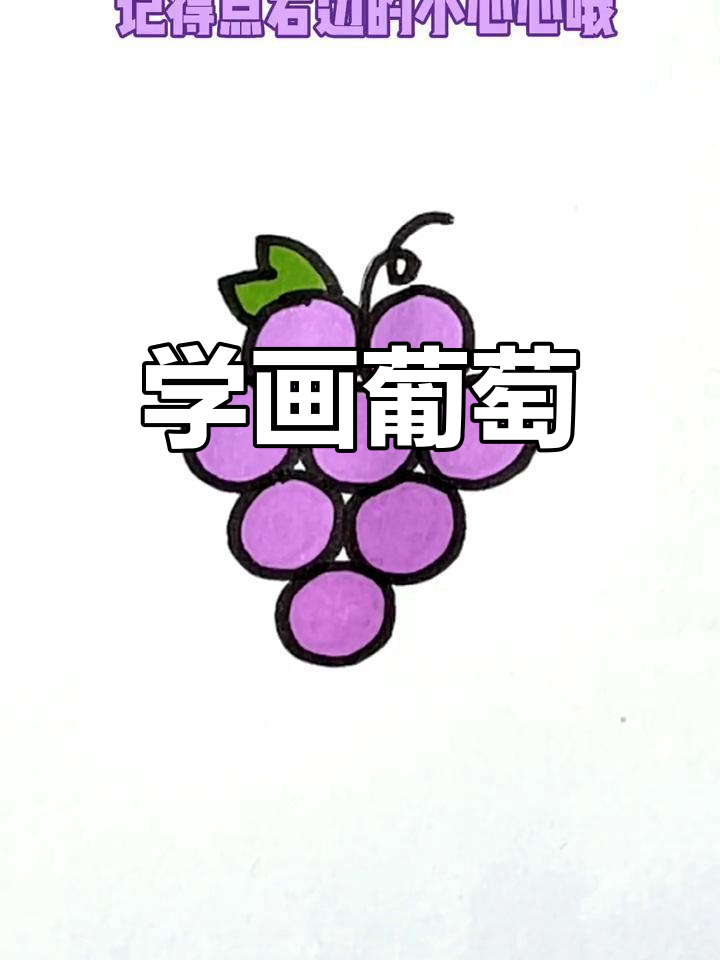 简单葡萄画法教程