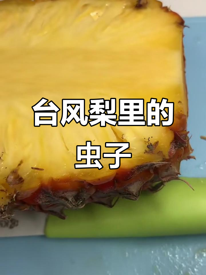 台湾凤梨里惊现活虫,竟然是这样!