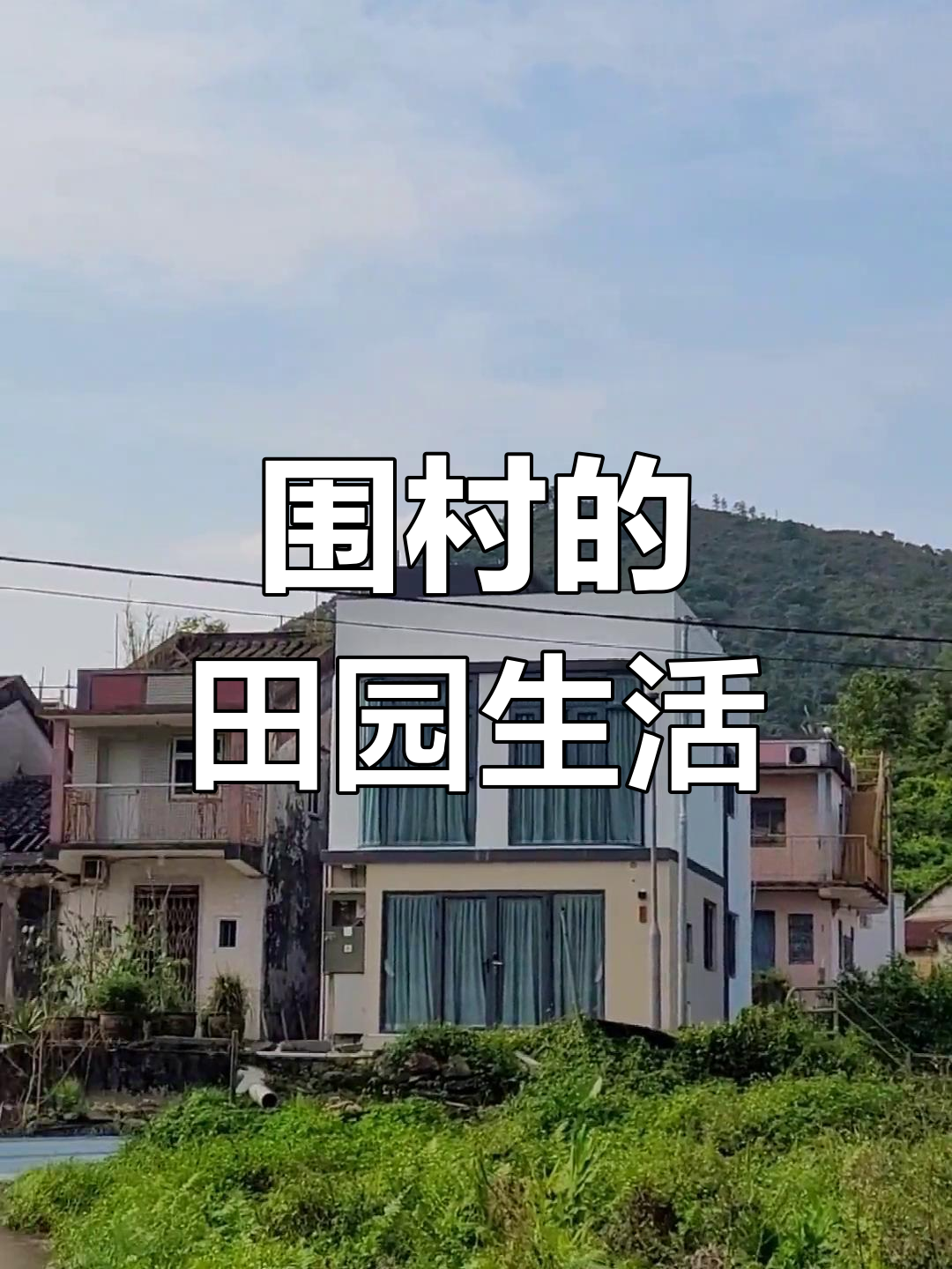 香港围村,家族聚居,环境宜人,自种果蔬