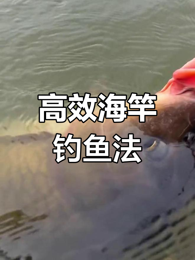 海竿钓鲤鱼技巧大揭秘