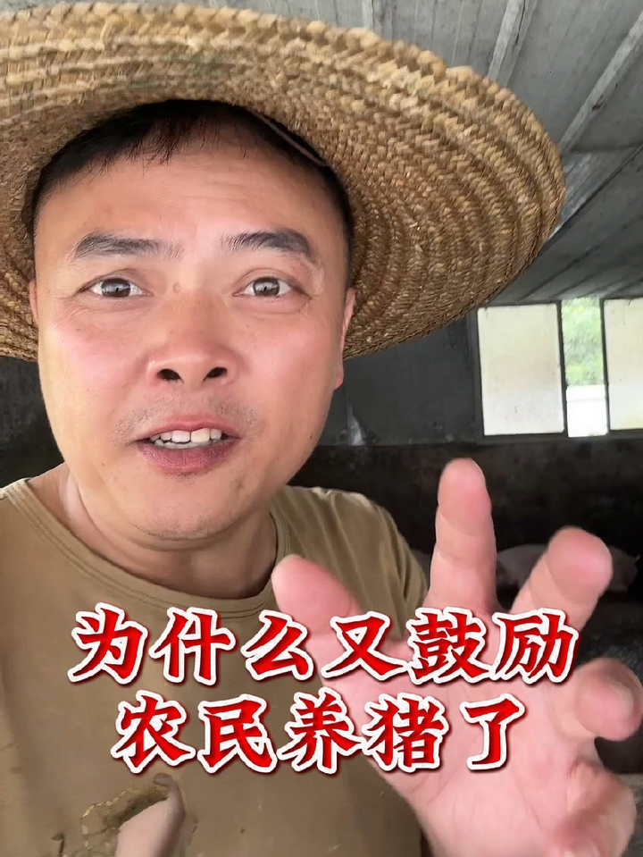 突然间又鼓励农民养猪了,为什么?操心啊,养猪人加油干