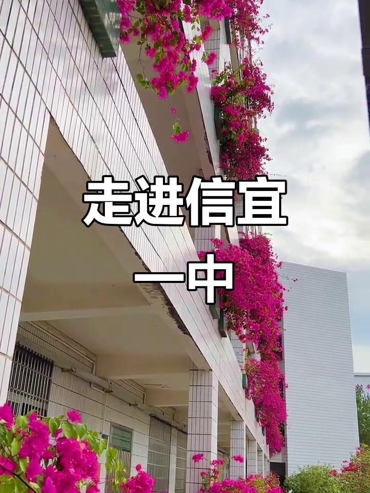 信宜一中:探索校园风采