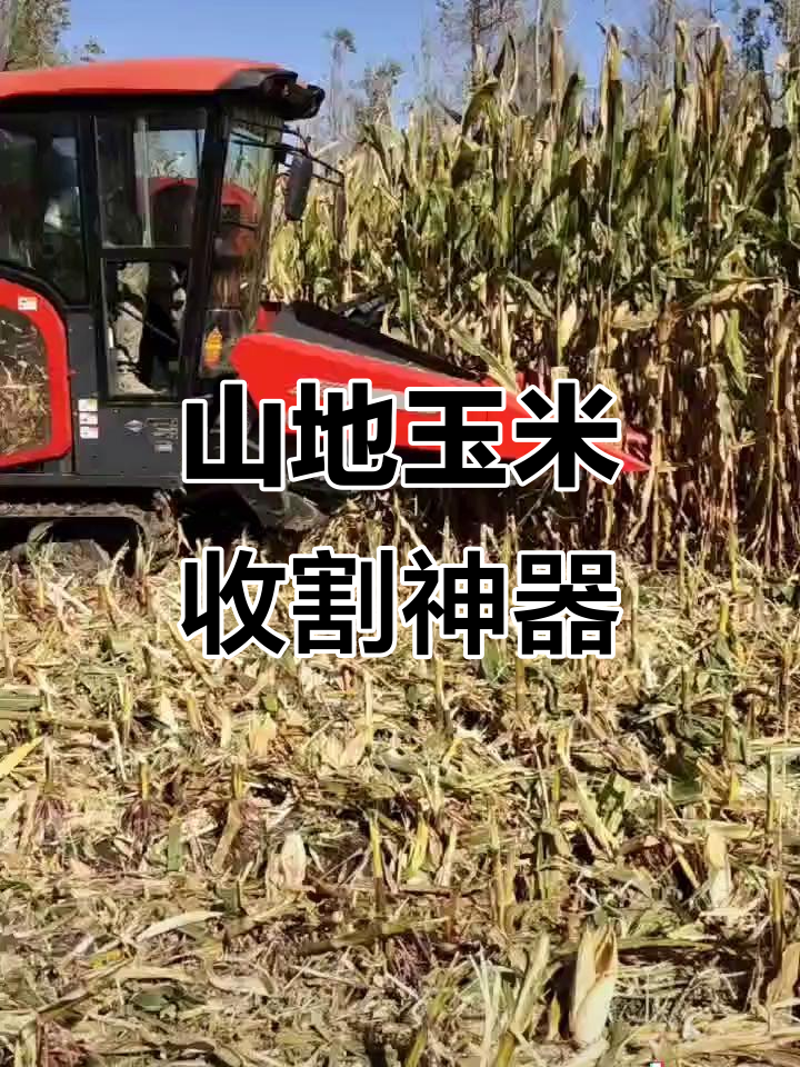 山地玉米收割机,低倾角设计减少倒伏损失
