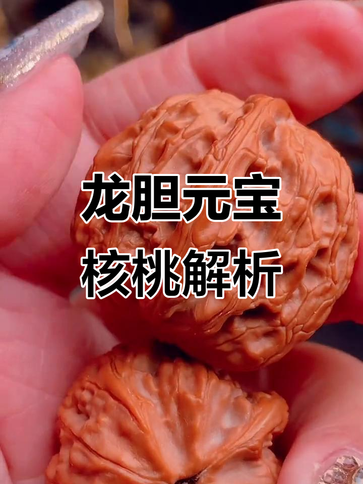 龙胆元宝核桃:从橘红到正红的霸气蜕变,硬朗野生款来袭
