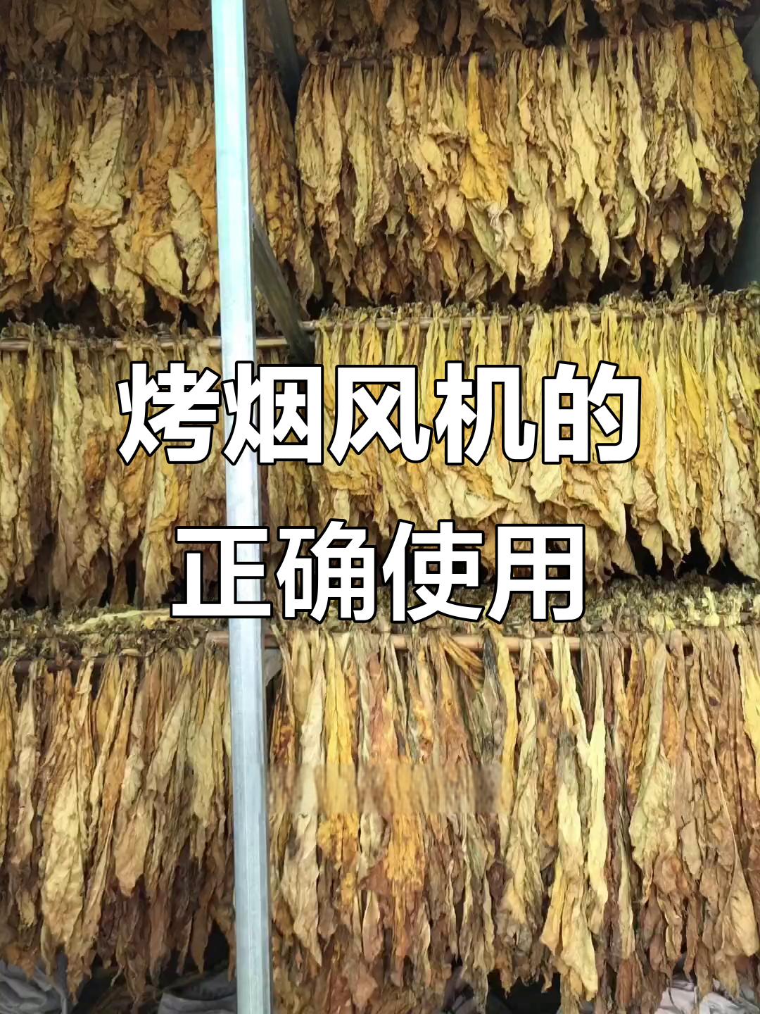 烤烟房风机安装与调试全攻略,如何避免回水问题