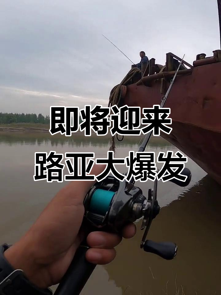金寨路亚(路亚竿十大排行榜)