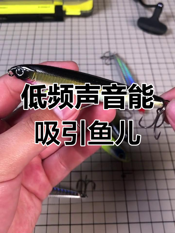 一种声音诱鱼器图片