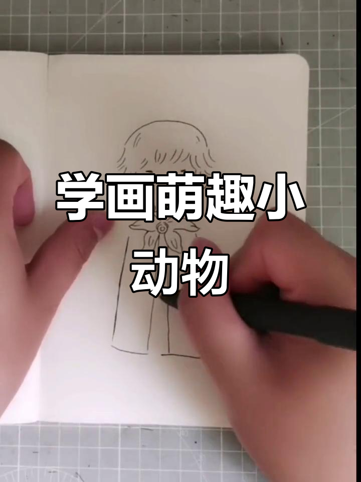 小动物简易画法