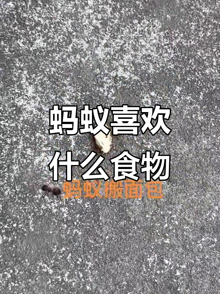 蚂蚁吃什么食物_蚂蚁吃什么食物画一画 蚂蚁吃什么食物_蚂蚁吃什么食物画一画 蚂蚁吃什么食品
_蚂蚁吃什么食品
画一画(蚂蚁吃什么简笔画) 磁力资讯