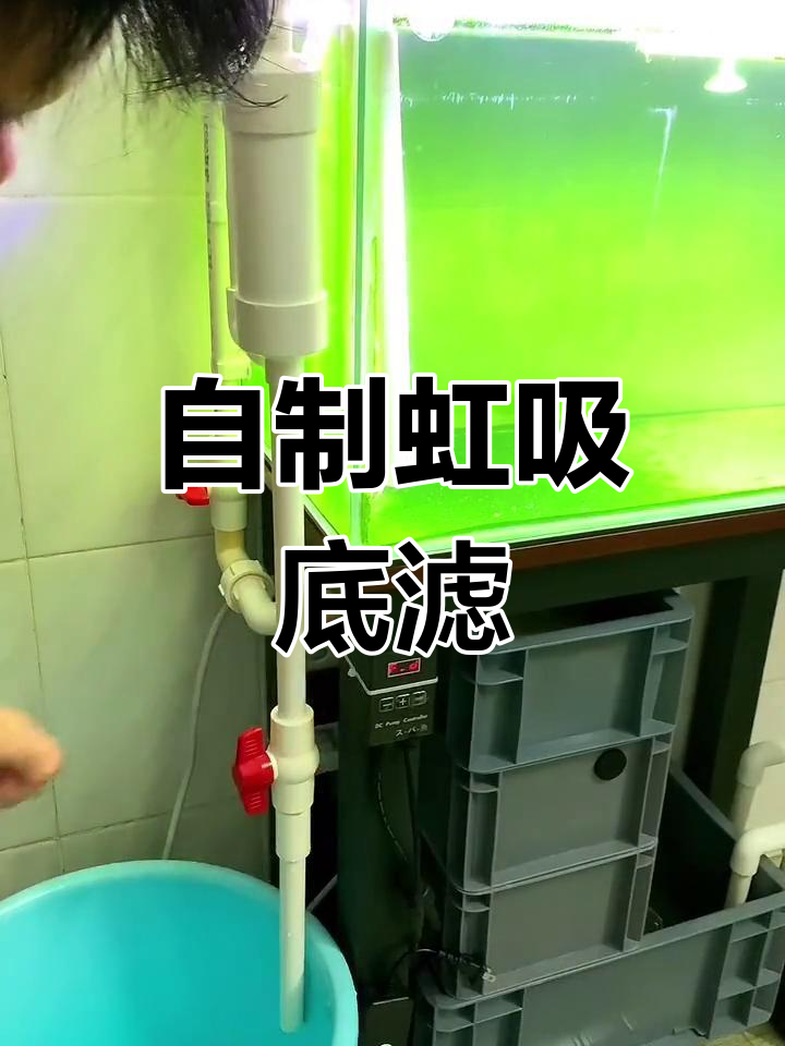 虹吸底滤2.0制作教程,轻松学会